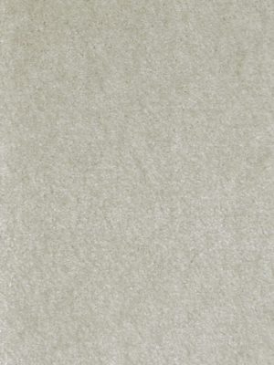 AVORIO 1401