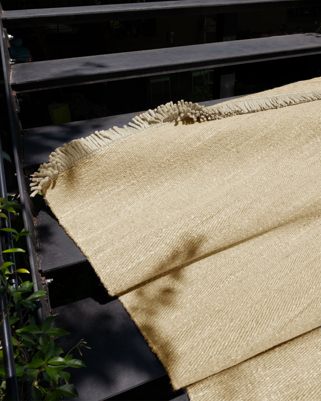 Nuancier du tapis de salon Nature écru