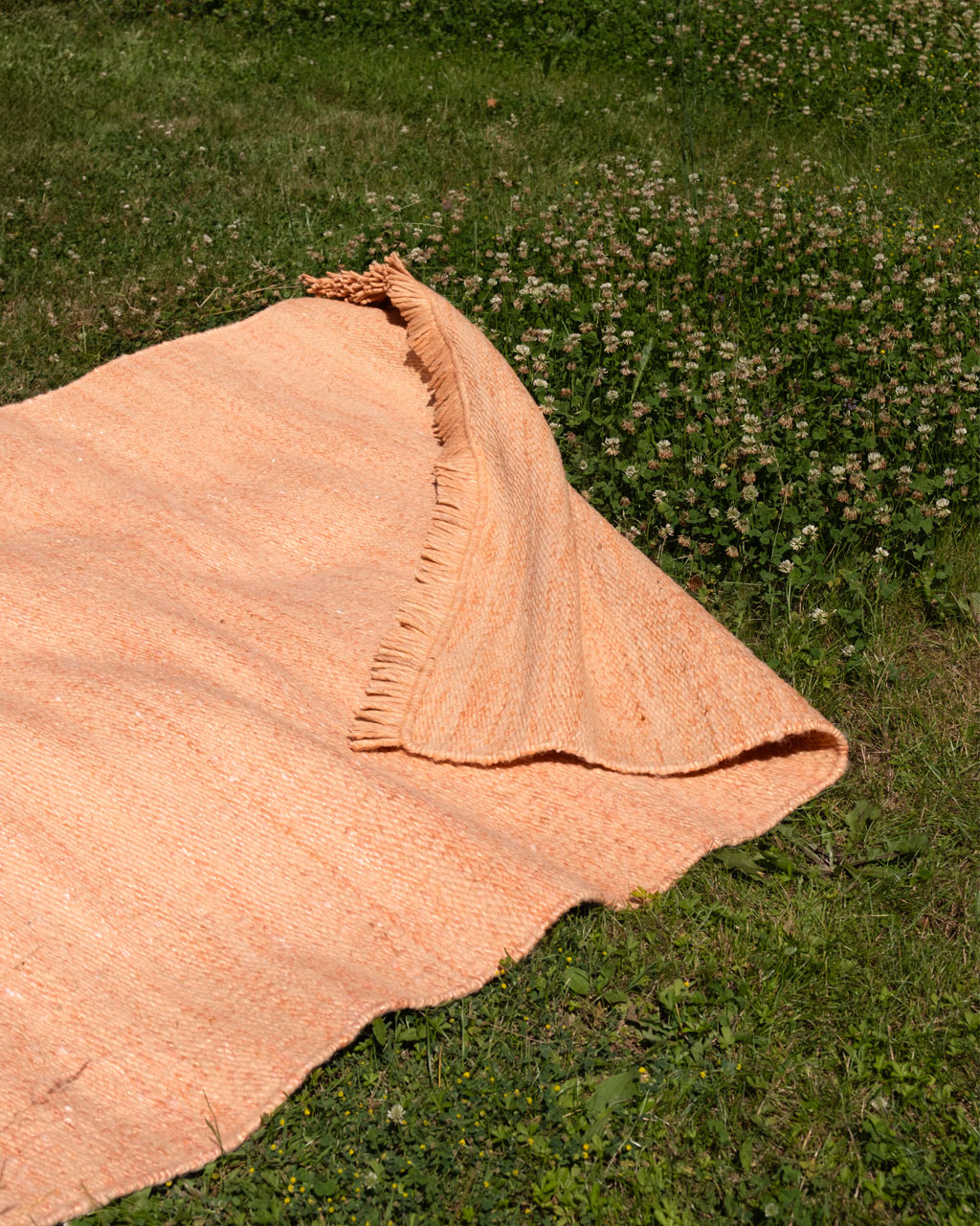 Tapis Nature rose dans un salon contemporain